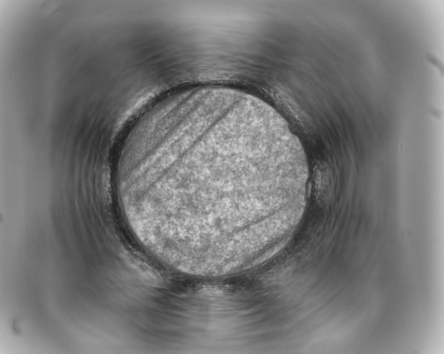 X0000095890684200802011107