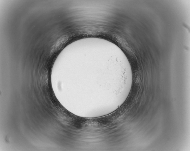 X0000095890685200802011107