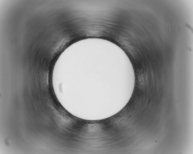 X0000095890686200802011107