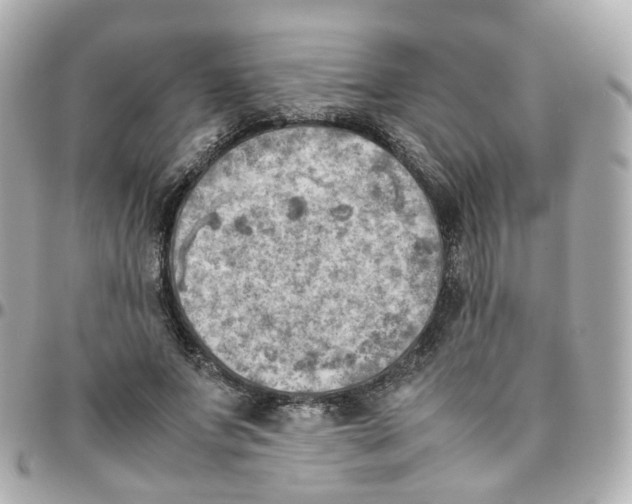 X0000095890687200802011107