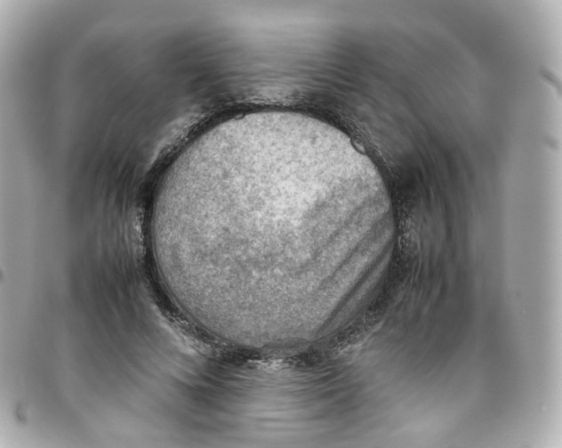 X0000095890688200802011107