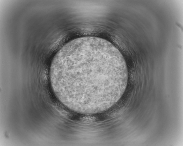 X0000095890691200802011107