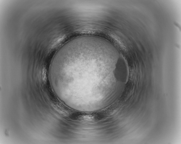 X0000095890692200802011107