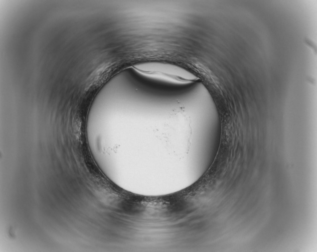 X0000095890693200802011107