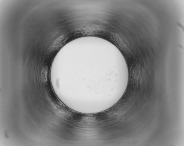 X0000095890694200802011107