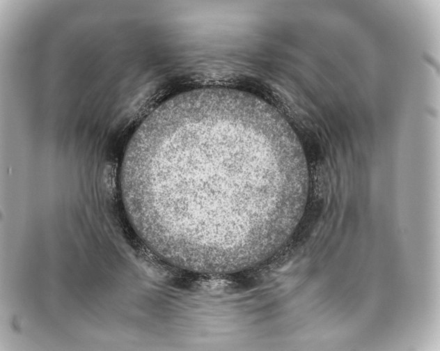 X0000095890695200802011107