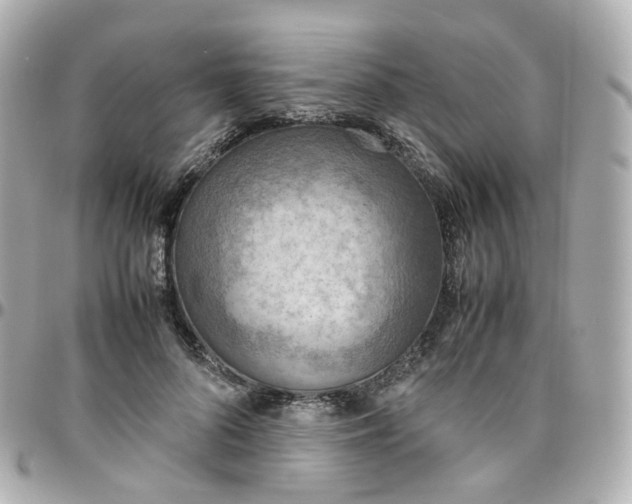 X0000095890696200802011107