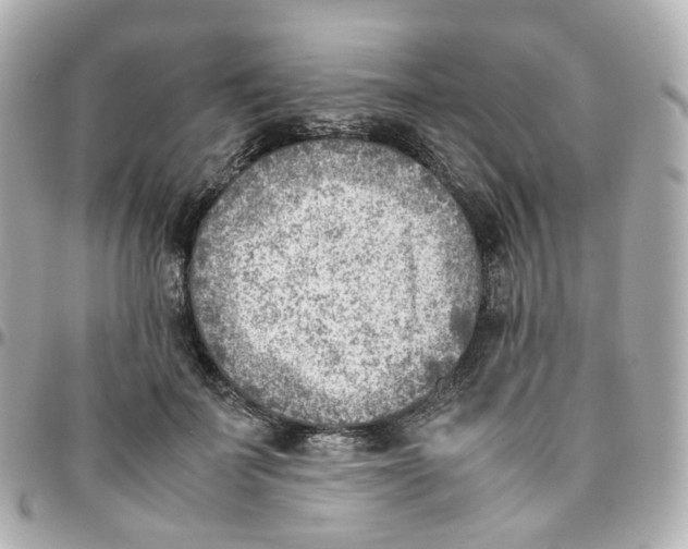 X0000095890699200802011107