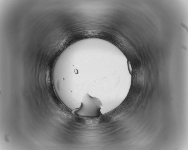 X0000095890700200802011107