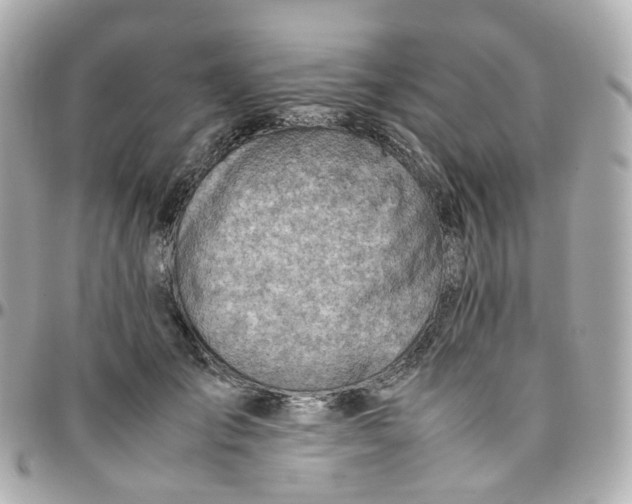 X0000095890701200802011107