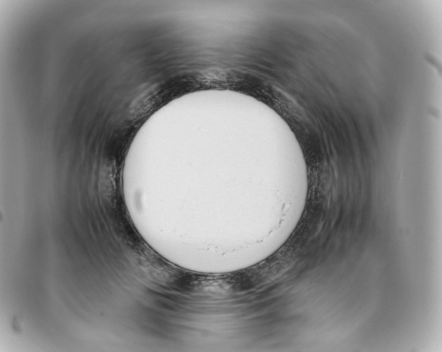 X0000095890702200802011107