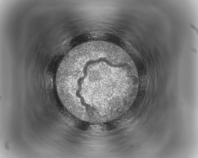 X0000095890703200802011107