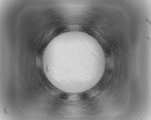 X0000095890705200802011107