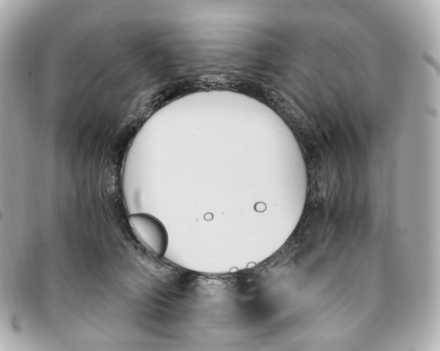 X0000095890706200802011107