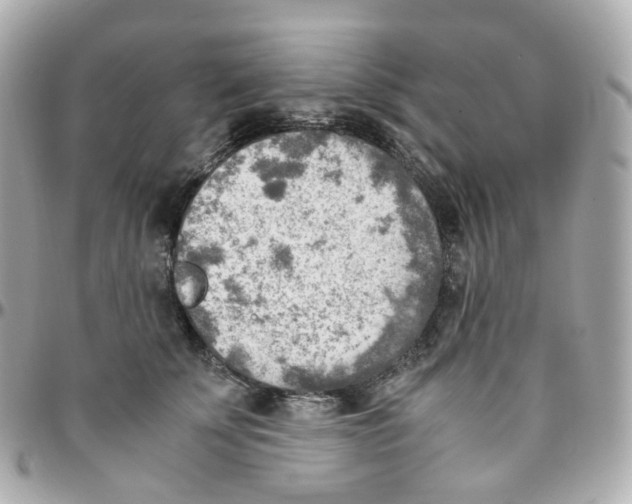 X0000095890707200802011107