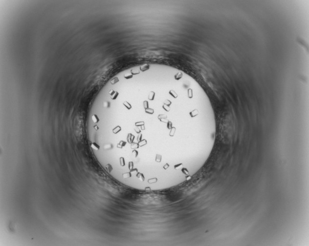 X0000095890708200802011107