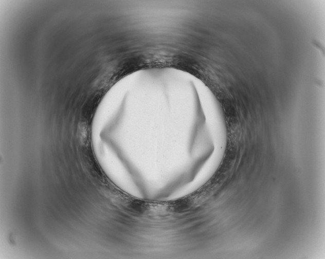 X0000095890709200802011107