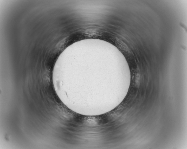 X0000095890710200802011107