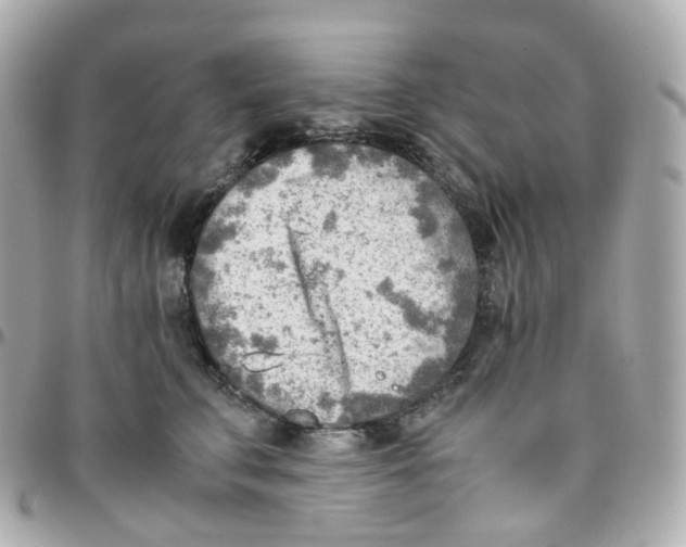 X0000095890711200802011107