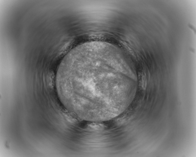 X0000095890712200802011107