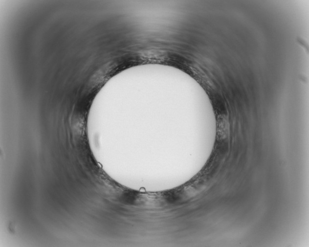 X0000095890713200802011107