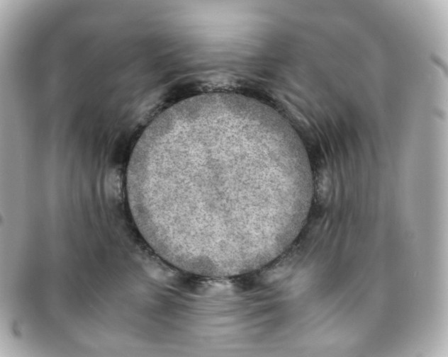 X0000095890715200802011107