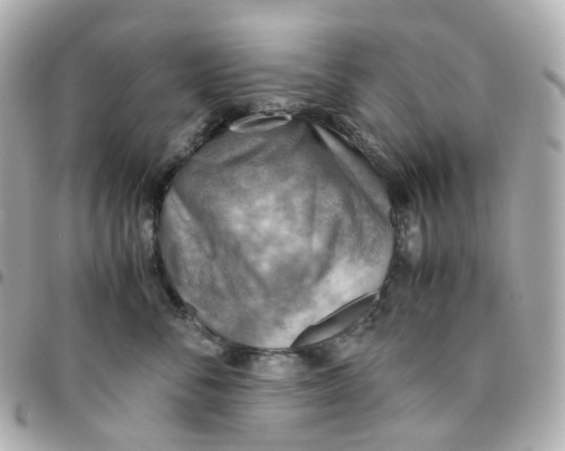 X0000095890716200802011107