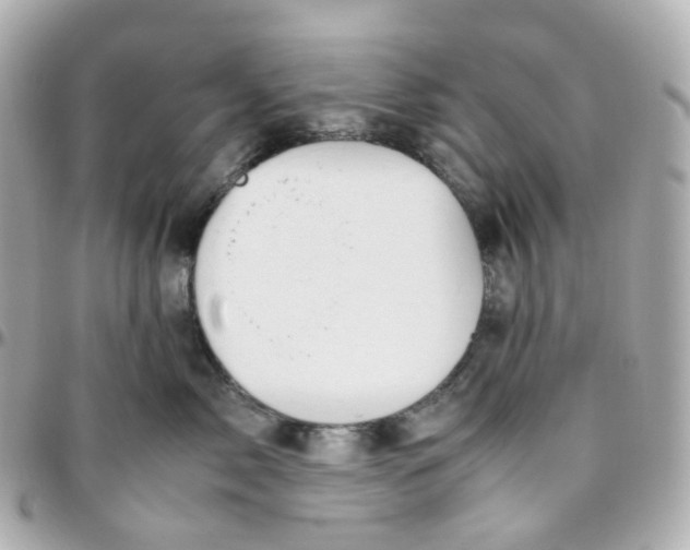 X0000095890717200802011106