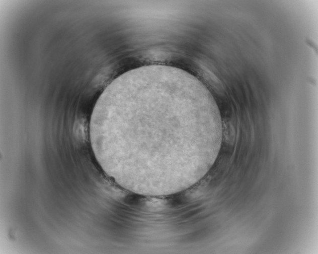 X0000095890718200802011106