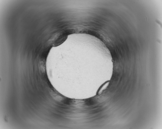 X0000095890719200802011106