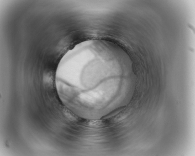 X0000095890720200802011106