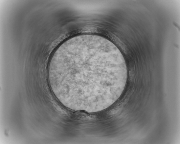 X0000095890721200802011106