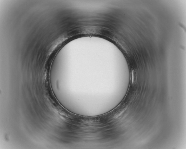 X0000095890723200802011106