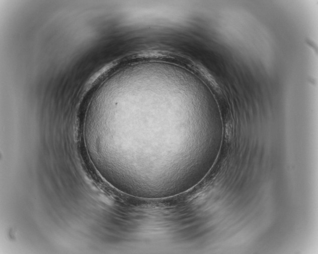 X0000095890724200802011106