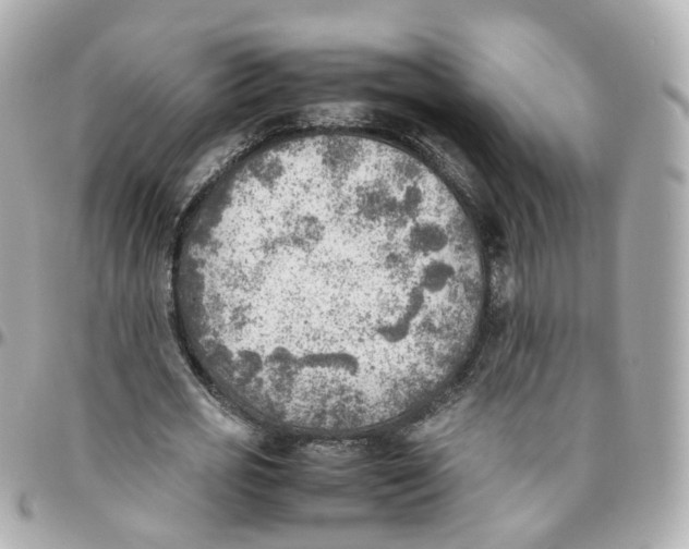 X0000095890725200802011106