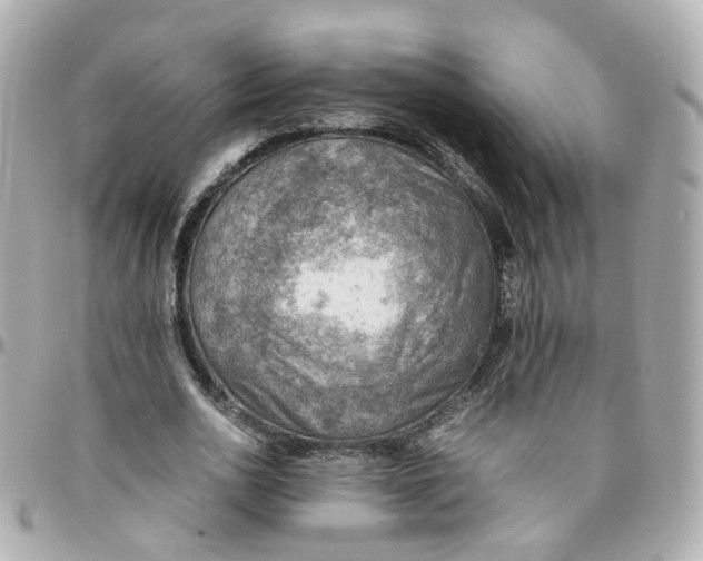 X0000095890726200802011106