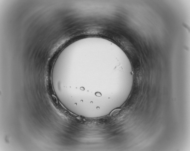 X0000095890728200802011106