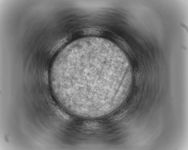 X0000095890729200802011106