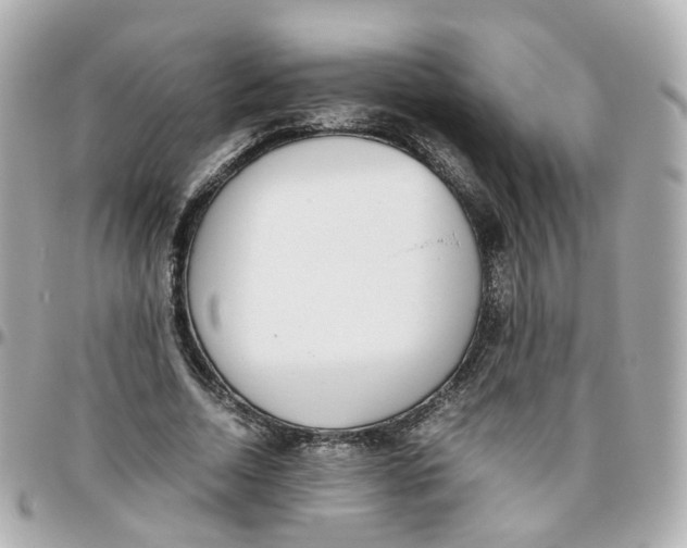 X0000095890730200802011106