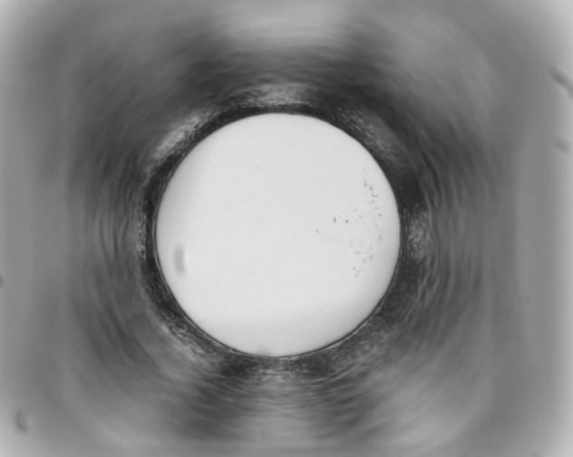 X0000095890732200802011106