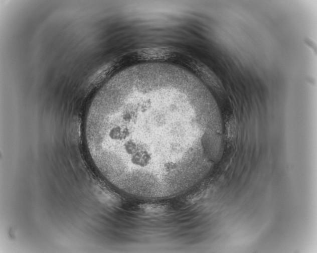 X0000095890733200802011106