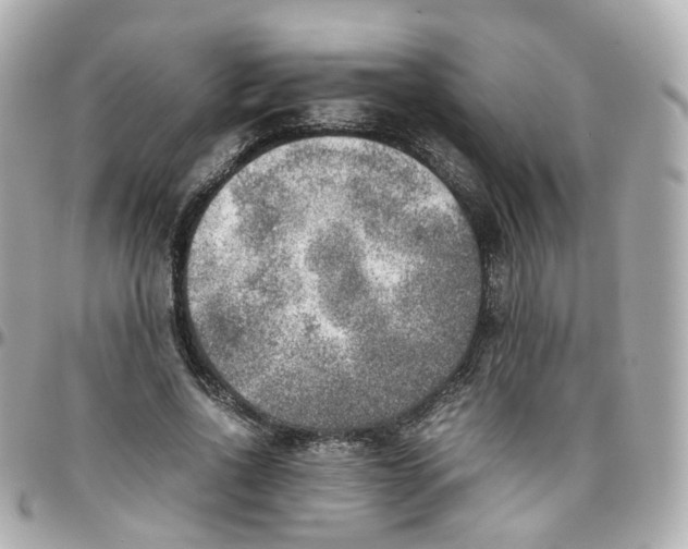 X0000095890734200802011106