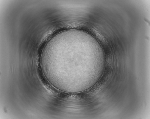 X0000095890736200802011106