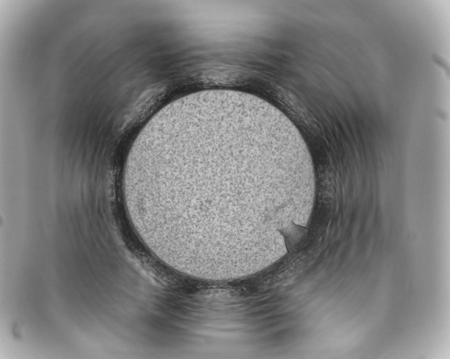 X0000095890738200802011106