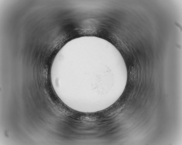 X0000095890739200802011106