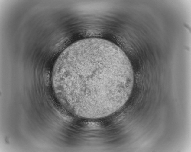 X0000095890741200802011106