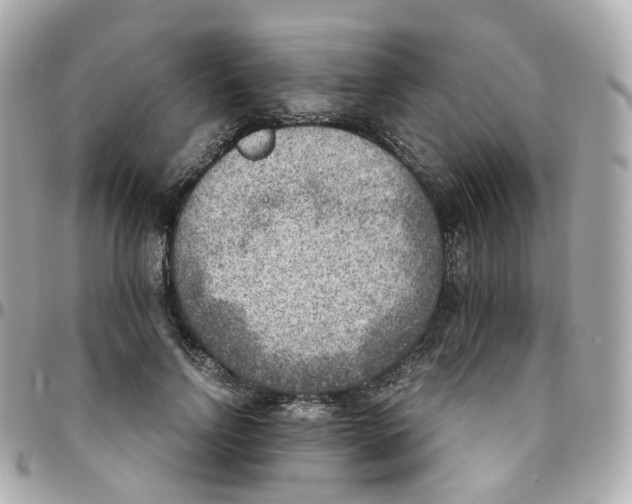 X0000095890742200802011106