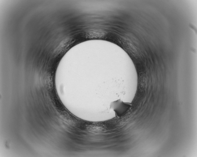 X0000095890743200802011106