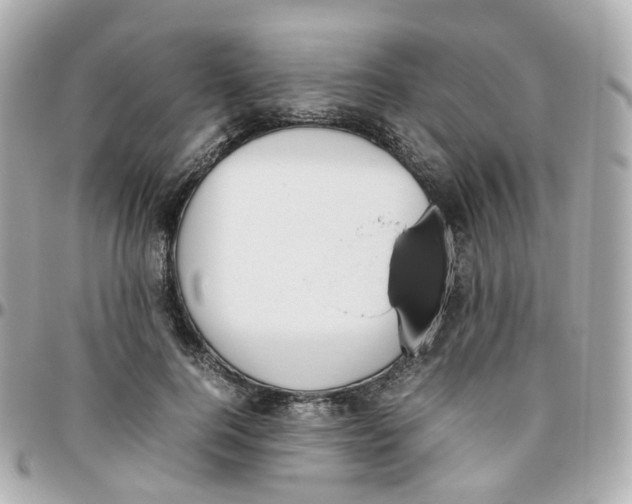 X0000095890744200802011106