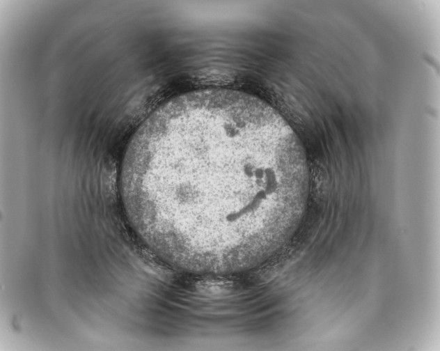 X0000095890745200802011106